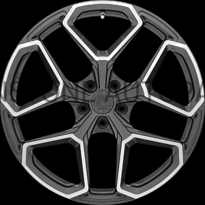 Wheels BC FORGED model EH-T01