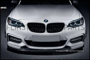 F22 Exotic Tuning Carbon Fiber Front Lip