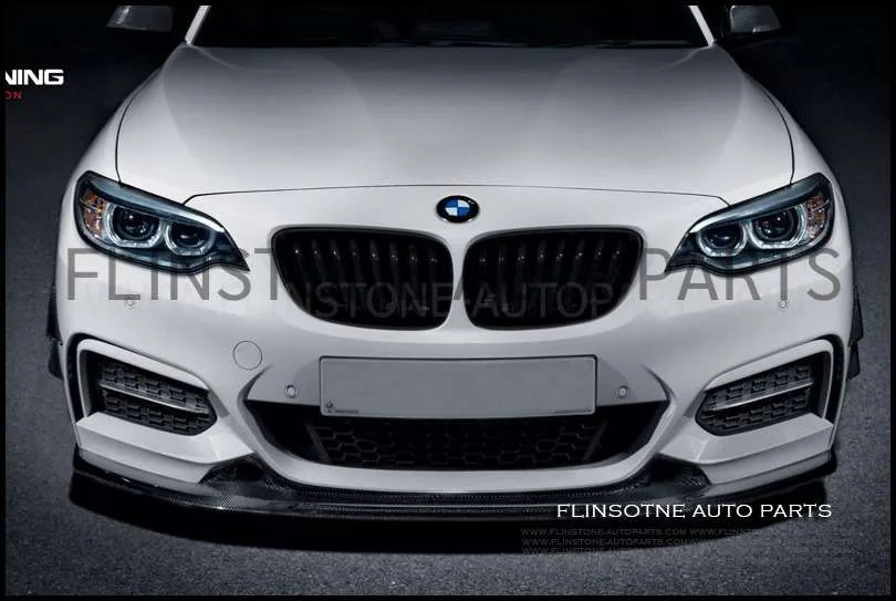 F22 Exotic Tuning Carbon Fiber Front Lip