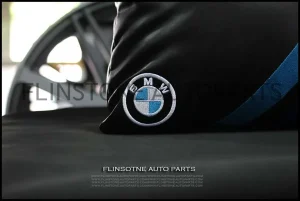 BMW Motorsport Pillow