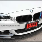 F10 M Color Kidney Grille [Carbon Frame]