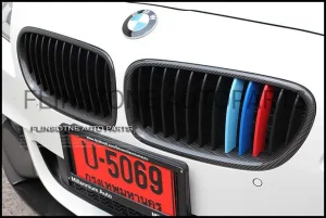 F10 M Color Kidney Grille [Carbon Frame]
