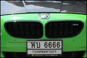 F06 F12 F13 M6 Kidney Grille