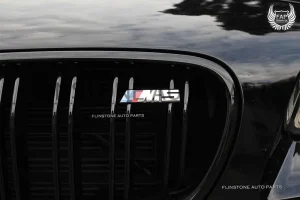 Genuine F10 M5 Kidney Grille