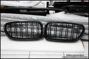 Genuine F10 M5 Kidney Grille