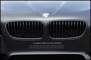F10 Matt Black Kidney Grille