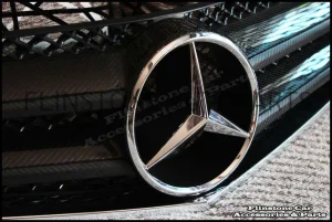 W207 E-Class Coupe Carbon Kevlar Front Grille V.3
