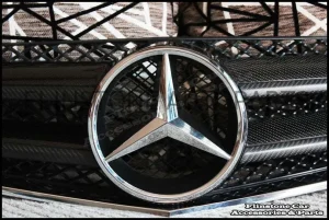 W207 E-Class Coupe Carbon Kevlar Front Grille V.3