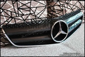 W207 E-Class Coupe Carbon Kevlar Front Grille V.3