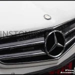 W207 E-Class Coupe Carbon Kevlar Front Grille V.1