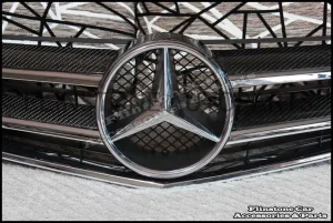 W207 E-Class Coupe Carbon Kevlar Front Grille V.3