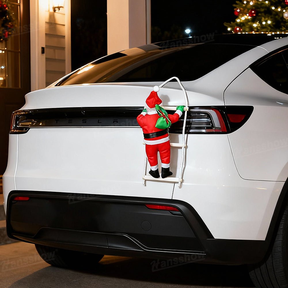 อุปกรณ์แต่งรถ Hansshow Tesla Cybertruck Juniper (DECORATION CHRISTMAS CLIMBING)