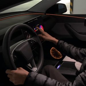 ไฟแอมเบียนต์ ประตู Hansshow Tesla Model Y Juniper Highland (SPEAKER FRONT)