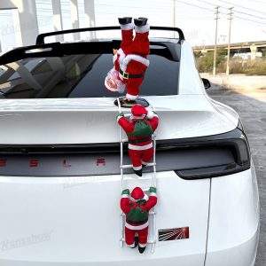 อุปกรณ์แต่งรถ Hansshow Tesla Cybertruck Juniper (DECORATION CHRISTMAS CLIMBING)