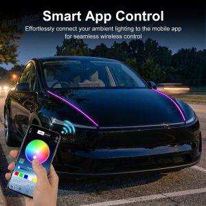 ไฟแอมเบียนต์ Hansshow Tesla Model Y Juniper Highland (HOOD APP)