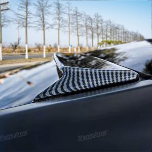 สปอยเลอร์ท้าย Hansshow Tesla Model Y (EXTERIOR CARBON FIBER)