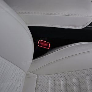 ไฟแอมเบียนต์ Hansshow Tesla Model Y Juniper Highland (RECEPTACLE 64-COLOR BUCKLE)