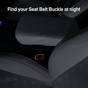ไฟแอมเบียนต์ Hansshow Tesla Model 3 Highland (INTERIOR LIGHTING SYSTEM)