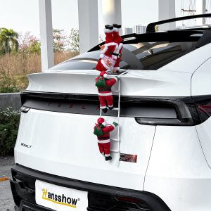 อุปกรณ์แต่งรถ Hansshow Tesla Cybertruck Juniper (DECORATION CHRISTMAS CLIMBING)