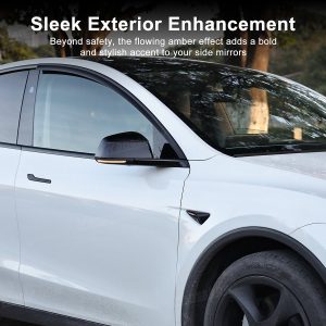 ไฟแต่ง Hansshow Tesla Model Y Juniper (SEQUENTIAL SIGNALS MIRROR)