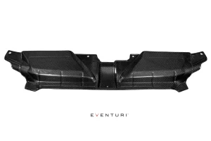 ฝาครอบแผงหน้าหม้อน้ำคาร์บอน Audi RS5 Eventuri