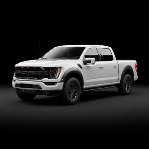 ชุดกรองอากาศ Ford F-150 Raptor (P702) (Gen 2/3) BlackBoost