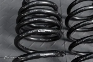 สปริง Eibach สำหรับ TESLA Model 3 Highland Kong Range