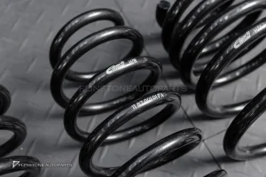 สปริง Eibach สำหรับ TESLA Model 3 Highland Kong Range