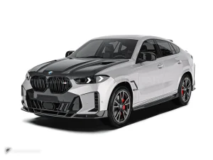 ครีบหน้าคาร์บอนไฟเบอร์ BMW X6 PAKTECHZ
