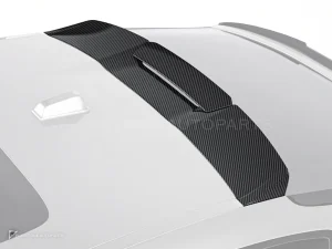 Carbon Fibre Rear Spoiler BMW X6 PAKTECHZ