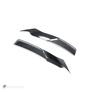碳纤维后鳍 Lamborghini Huracan EVO PAKTECHZ