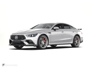 碳纤维前唇 Benz AMG GT50/GT53 PAKTECHZ(PT0014-2)