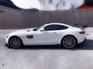 碳纤维侧裙 Ver.1 Benz AMG GT PAKTECHZ