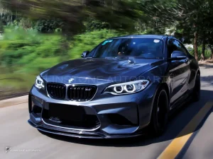 ลิ้นหน้าคาร์บอนไฟเบอร์ BMW M2 F87 PAKTECHZ (PT0003-1)