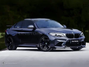 สเกิร์ตข้างคาร์บอนไฟเบอร์ BMW M2 F87 PAKTECHZ (PT0003-2)