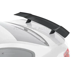 สปอยเลอร์หลังคาร์บอนไฟเบอร์ BMW M2 F87 PAKTECHZ (PT0003-5)