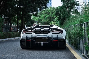 Carbon Fibre Full Body Kit style Mansory Lamborghini Revuelto