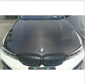 Front Hood Carbon Fiber BMW 3 Series G20 style OEM