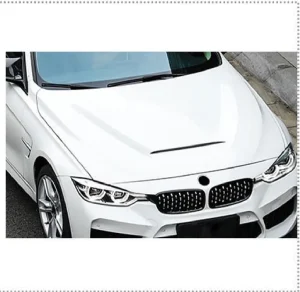 前引擎盖 Carbon Fiber BMW 3 Series F30 款式 GTS