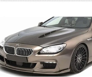 Front Hood Carbon Fiber BMW 6 Series F06 style M6