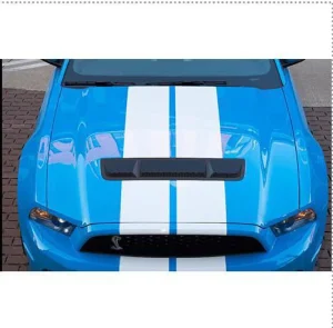 前引擎盖 Carbon Fiber Ford Mustang 款式 GTS