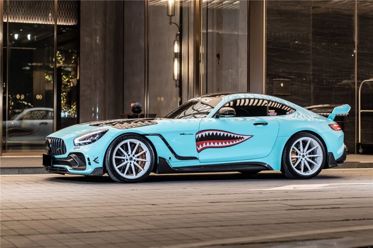 侧裙 Carbon Fiber MERCEDES BENZ AMG GT C190 2017-2020 款式 DarwinPRO(iMP)