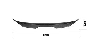 尾翼 BMW M2 尺寸 112 × 22 cm.