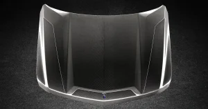 Front Hood Larte Design