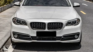 กระจังหน้าดรายคาร์บอน ทรง กระจังซี่คู่ BMW 5 Series F10 SOOQOO