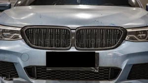 กระจังหน้าดรายคาร์บอน ทรง กระจังซี่คู่ BMW 6 Series G32 ก่อนไมเนอร์เชนจ์ SOOQOO